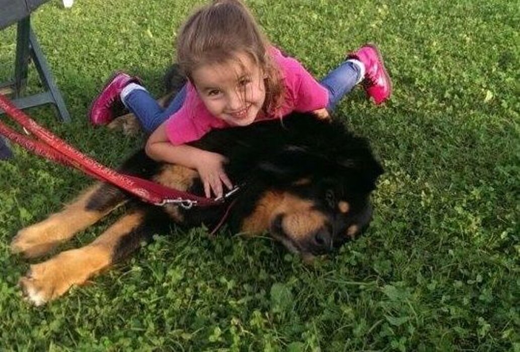 65cd8e59ab865b76d24ba61dfcf2103d8d351f71 65cd8e59ab865b76d24ba61dfcf2103d8d351f71