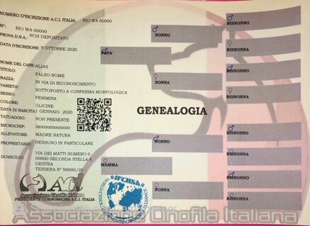 660463943a818de93e4c3b586b729f9bf8d86b19.jpeg 660463943a818de93e4c3b586b729f9bf8d86b19.jpeg