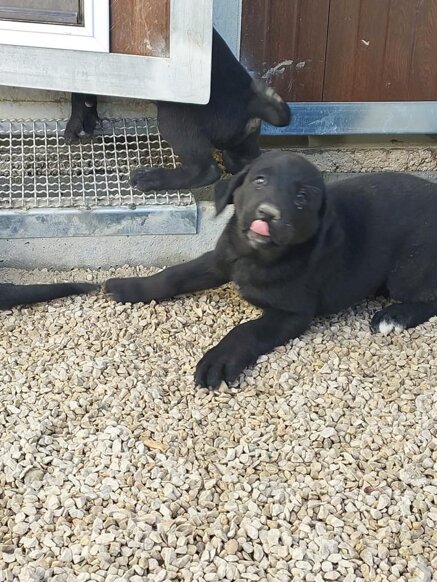 66f03a6aa9e805f5520034b8eb1f20235271e11f 66f03a6aa9e805f5520034b8eb1f20235271e11f