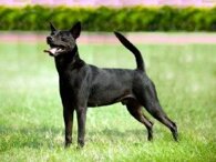 6bb89e3fb55a32c2e9a2820ce28117f5458d9922