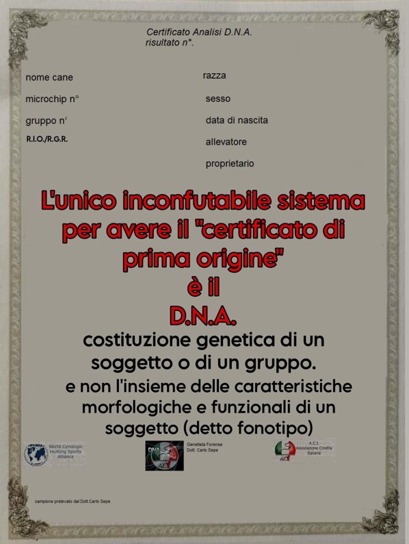 6df8b87b5846a83305b2dd36b0e95d5938fa53cb.jpeg 6df8b87b5846a83305b2dd36b0e95d5938fa53cb.jpeg