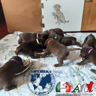 7264062fdf2a101e8bc2b0615784e102f964e8f9 7264062fdf2a101e8bc2b0615784e102f964e8f9