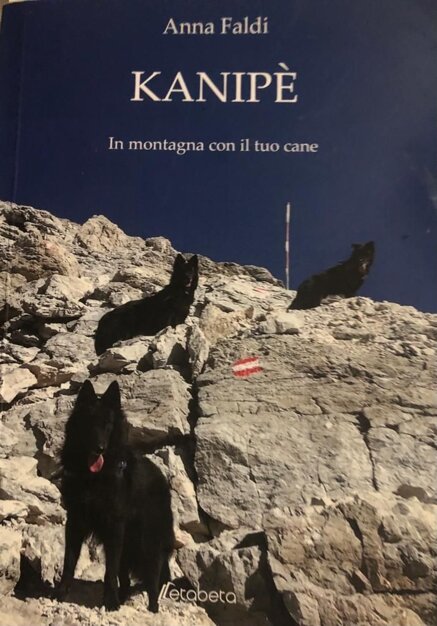 72834e57ebb60429680180ebd4e85e7be0911cd2 72834e57ebb60429680180ebd4e85e7be0911cd2