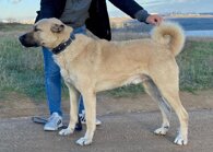 737e3cf32b5bcae1d85752ff0d5ece60739fd04c