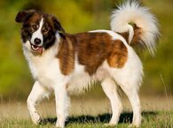 73f35b7d5c847e988245abfa72f69d19dcbbe193