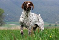 78931a48219ff4a0ecb4a1a4db2c1faa0de07788