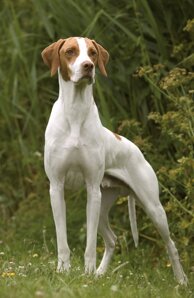 7a5698d5bcb3d25e0de903fb1b176fb8c96e794e