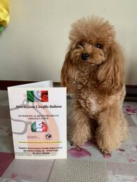 7b1ec093d2dff93d55674b57572151545bcf6075