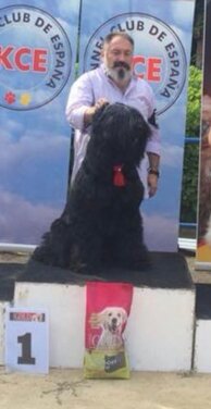 7bedb4fa09c96416a6b676d3ef6ee15a7acda34a