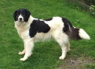 7ceb4c89af75527ec39e6242ec25bdd0ccdd3ec2