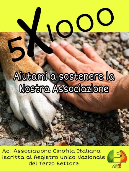 81847df0ddfc8604d838fed9eed9b51e645fd485 81847df0ddfc8604d838fed9eed9b51e645fd485