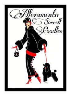 825dbf3e98375edf7e2a27f4b527ea49719dfa05 825dbf3e98375edf7e2a27f4b527ea49719dfa05