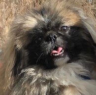 840ab10e71fee1a2a4bb9afce0d985a821e80caa 840ab10e71fee1a2a4bb9afce0d985a821e80caa