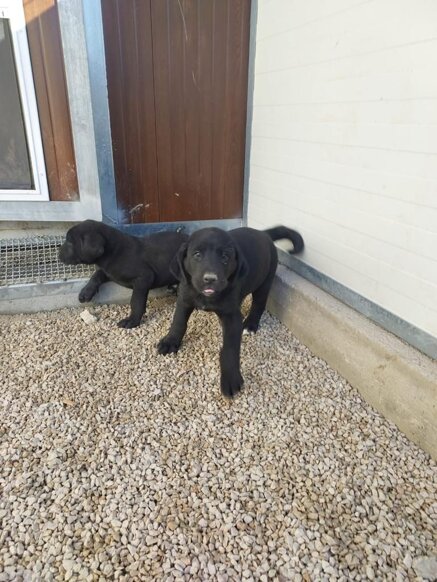 87b24a5ccf3f7d670903c0cf6ccfa3370f119c65 87b24a5ccf3f7d670903c0cf6ccfa3370f119c65