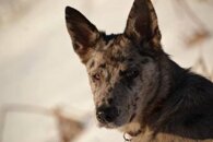 8a8ec723ddffac79ca585e921ec9971d9910440a 8a8ec723ddffac79ca585e921ec9971d9910440a