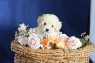 8e25b1010d199298c0933eea95a3d7fbe9f0ca3d 8e25b1010d199298c0933eea95a3d7fbe9f0ca3d