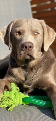 8f6656e69bfd7aa2f493e70a5f51d60e645ea2bc