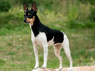 8f756240ab8c632fff5d67f0365aa3696f323215