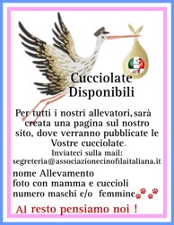 8f8f3004cd485328c1aed62b3b56aa1847defa68.jpeg 8f8f3004cd485328c1aed62b3b56aa1847defa68.jpeg