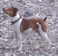 8fce2ffe89a22696a236221d19771c45e6c1cbc9