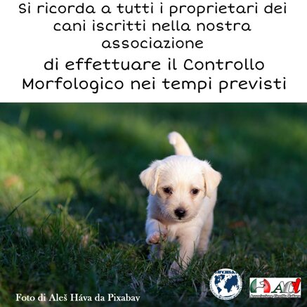 9302f48fa44ebc5d87d6ace7be46529a1fd497d2 9302f48fa44ebc5d87d6ace7be46529a1fd497d2