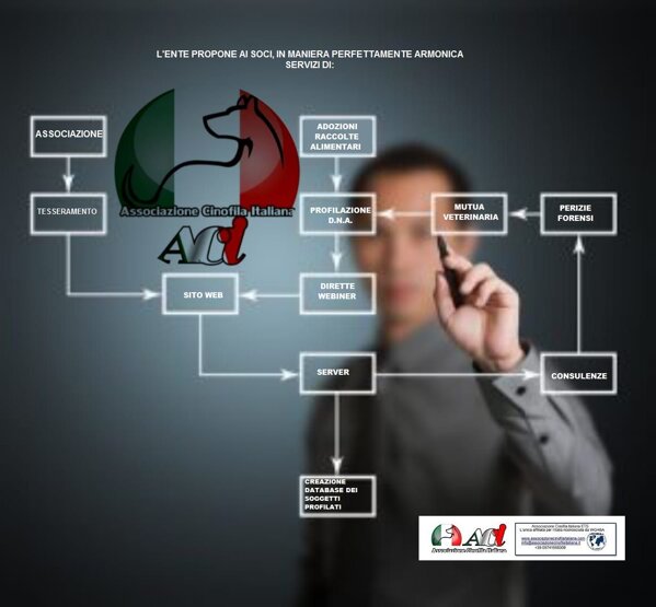 9590a3a46430ff87566b6f8f4f5208598988d4a0 9590a3a46430ff87566b6f8f4f5208598988d4a0