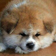 95917da656e506d0df22af5ef5aa51ecaffe683b 95917da656e506d0df22af5ef5aa51ecaffe683b