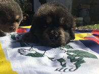 95cb4ae0014fd4ac2e1e4b5464f69b28ac2d2ac6 95cb4ae0014fd4ac2e1e4b5464f69b28ac2d2ac6