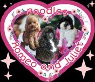 97362fa217457c677922ca8459c559804a467d73.jpeg 97362fa217457c677922ca8459c559804a467d73.jpeg