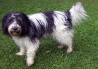 9aa8b7d0aff531a00033059ef383f4a7c6269a73