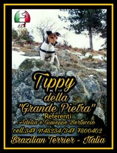 9db9c540bbfbe95b84574e58018d450c9ec2fb5d 9db9c540bbfbe95b84574e58018d450c9ec2fb5d