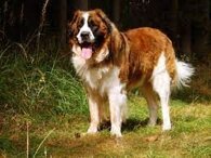 9fa26043150a5cd817fb252c247d481fbc092642