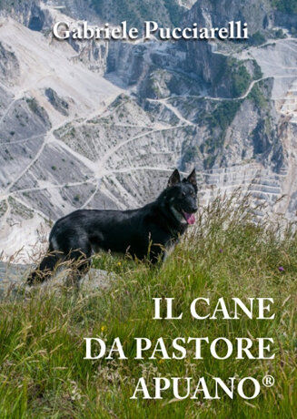 a0930e5f653e0efc325103b6b9d1acc4a208905c a0930e5f653e0efc325103b6b9d1acc4a208905c