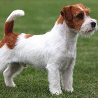 a24c7a52e395309be9c0041ae881965ba241ff68