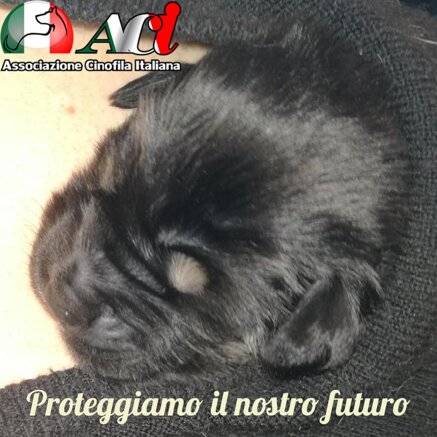 a29ccdb3a4d6a096befc8ee1751ccfd4c3be42b5 a29ccdb3a4d6a096befc8ee1751ccfd4c3be42b5