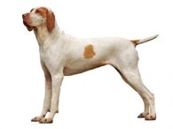 a5f61cf3ffde35061076f80eadcc963ea2d79b59