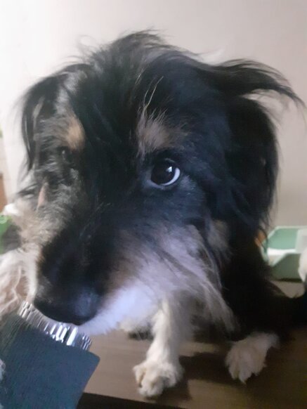 a6af81cad1c6803eae8c699d61cb33087a609409 a6af81cad1c6803eae8c699d61cb33087a609409