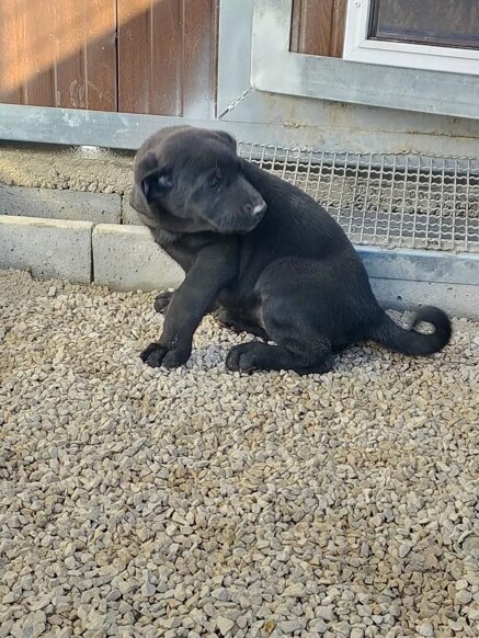 a8dad0f28583b64f03dc5e9f5f3e22807d62bce0 a8dad0f28583b64f03dc5e9f5f3e22807d62bce0