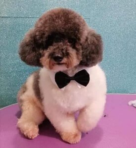 ae021c6a4782fea97416d32fcfcfa1f688202d9e