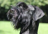 af4a69e404d2d52bc70109de7a3ac09a72bc783d