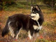 b090d864f6ed572b56b9165a3929189d713d22c0