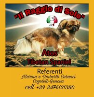 b10c773d4c3c4eb5beaeec642764ec8e67430ac9 b10c773d4c3c4eb5beaeec642764ec8e67430ac9