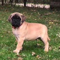 b2daa4b64a62b79dd9e6acb94a73fe14f2b94f53 b2daa4b64a62b79dd9e6acb94a73fe14f2b94f53