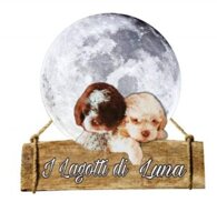 b753c0b7d7e13b5ff3fcd488650043950c91c483.jpeg b753c0b7d7e13b5ff3fcd488650043950c91c483.jpeg