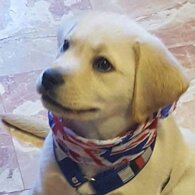 b7c0448a4c6ff200b13eeee24647506774d57a98 b7c0448a4c6ff200b13eeee24647506774d57a98