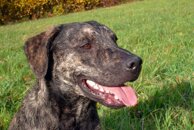 bcbc3ae37ad0fd1a4e67d30cb6a5a24dcf304260