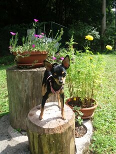 bce4030fff7162b3c1d5c87eaf7d2305356fb767 bce4030fff7162b3c1d5c87eaf7d2305356fb767