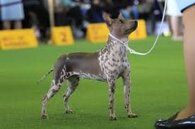 bf313e56e31f937b9ca6c8157cc9611f9eb7ccbd