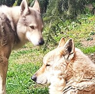 bf91768a12f3557053cccfbe744921aa0db76640