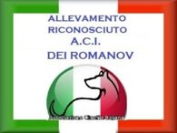 bfa8666499728e1719a52fe316a9626e04610ffe bfa8666499728e1719a52fe316a9626e04610ffe